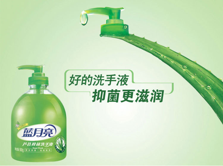 蓝月亮洗手液/500ml +