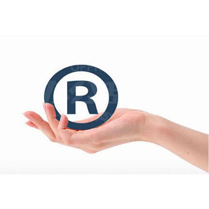 商标注册/免费咨询/尽责查询 1大类10小类