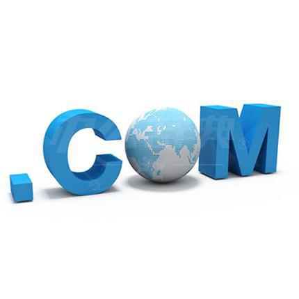 网站域名注册/个