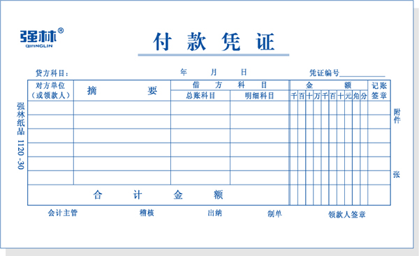 付款凭证 单金额