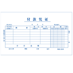 付款凭证 单金额
